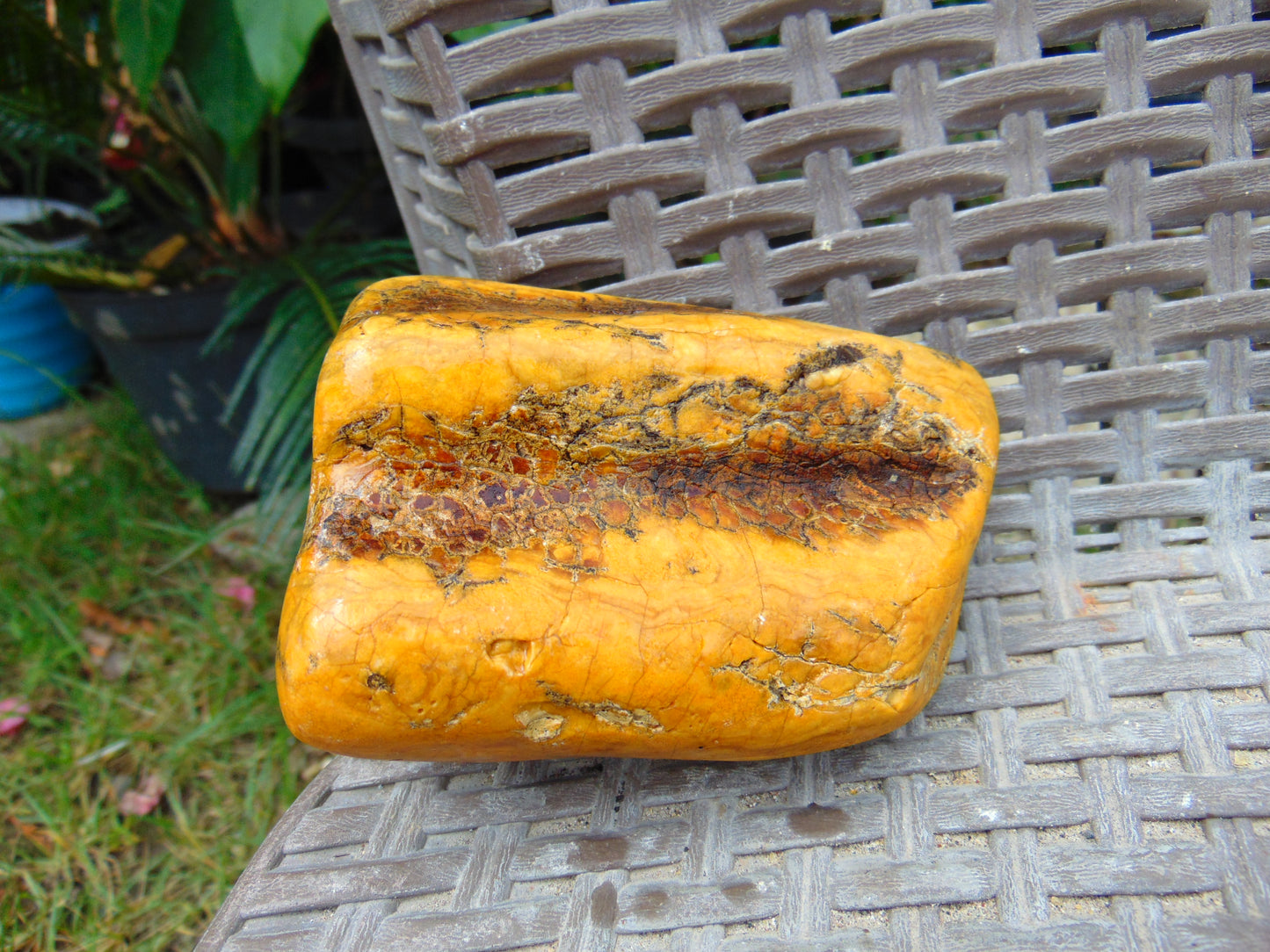 217 gram Polished 105x70x45mm Indonesia Yellow Fragrance Amber for Healing 25K32