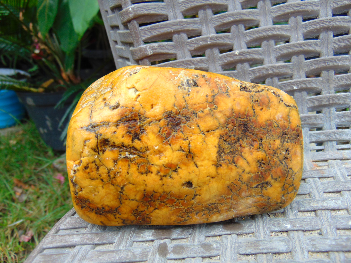 217 gram Polished 105x70x45mm Indonesia Yellow Fragrance Amber for Healing 25K32