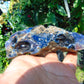 118 gram Rough Raw Indonesian Inclusion Blue Amber for Healing AGRB35