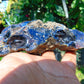 118 gram Rough Raw Indonesian Inclusion Blue Amber for Healing AGRB35