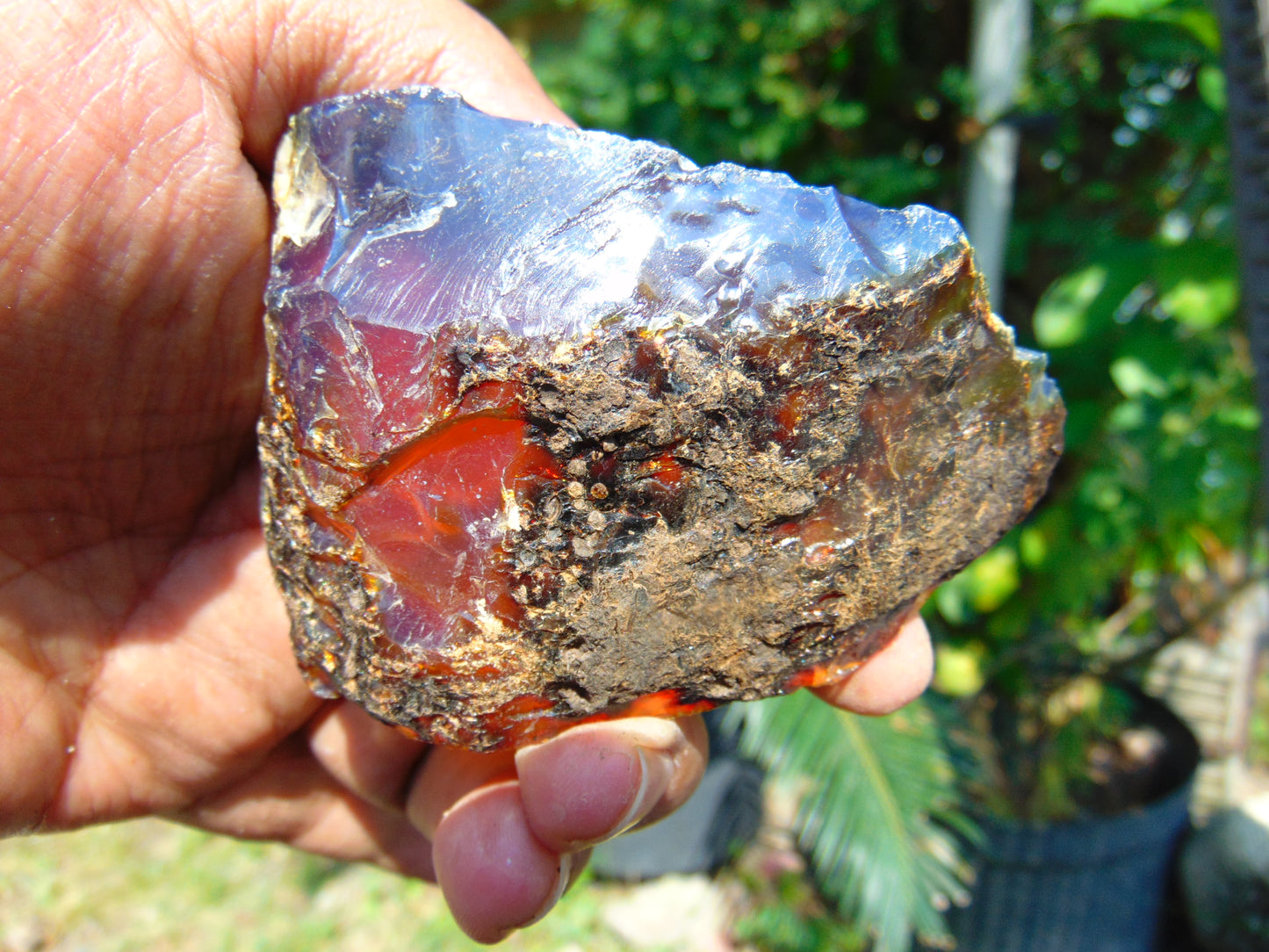 56 gram Rough Raw Indonesian Blue Amber for Healing AGRB12