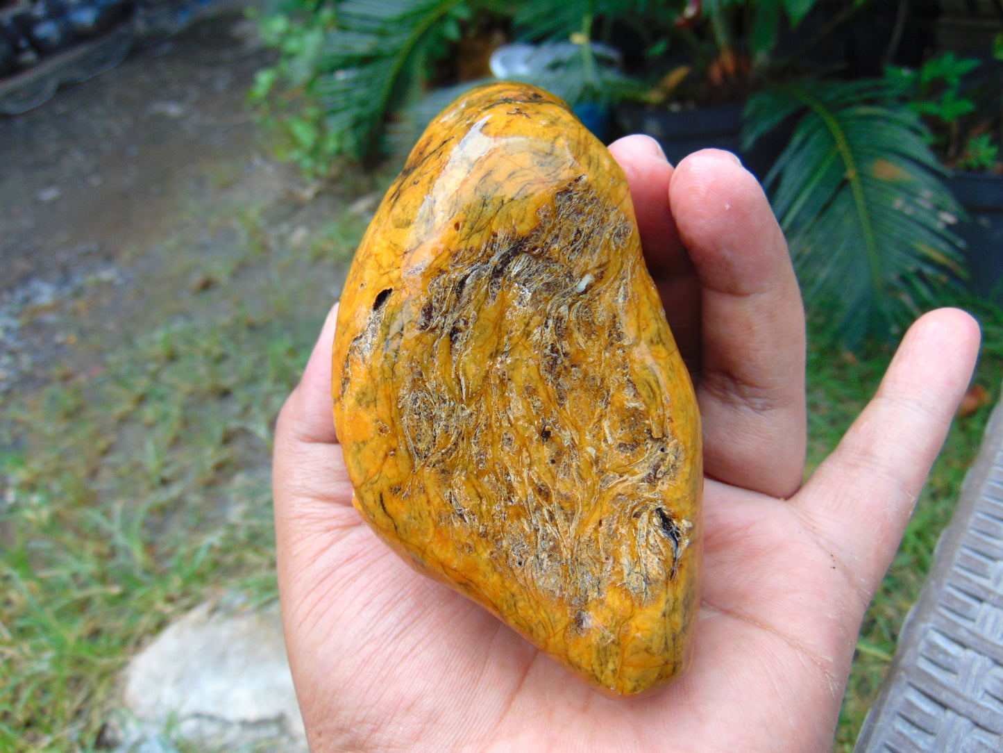 279 gram Polished 125x85x55mm Indonesia Yellow Fragrance Amber for Healing 25K35