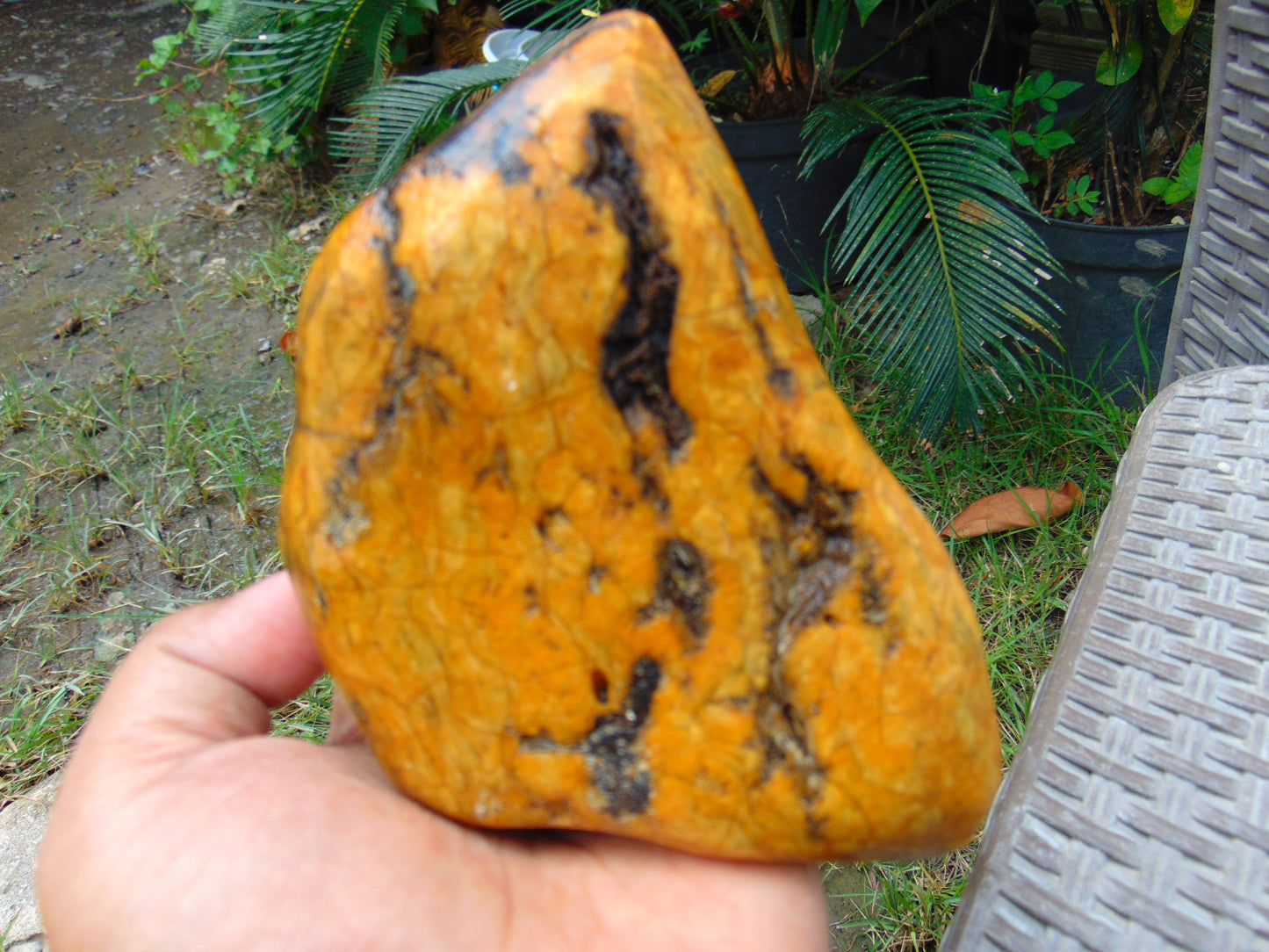 279 gram Polished 125x85x55mm Indonesia Yellow Fragrance Amber for Healing 25K35