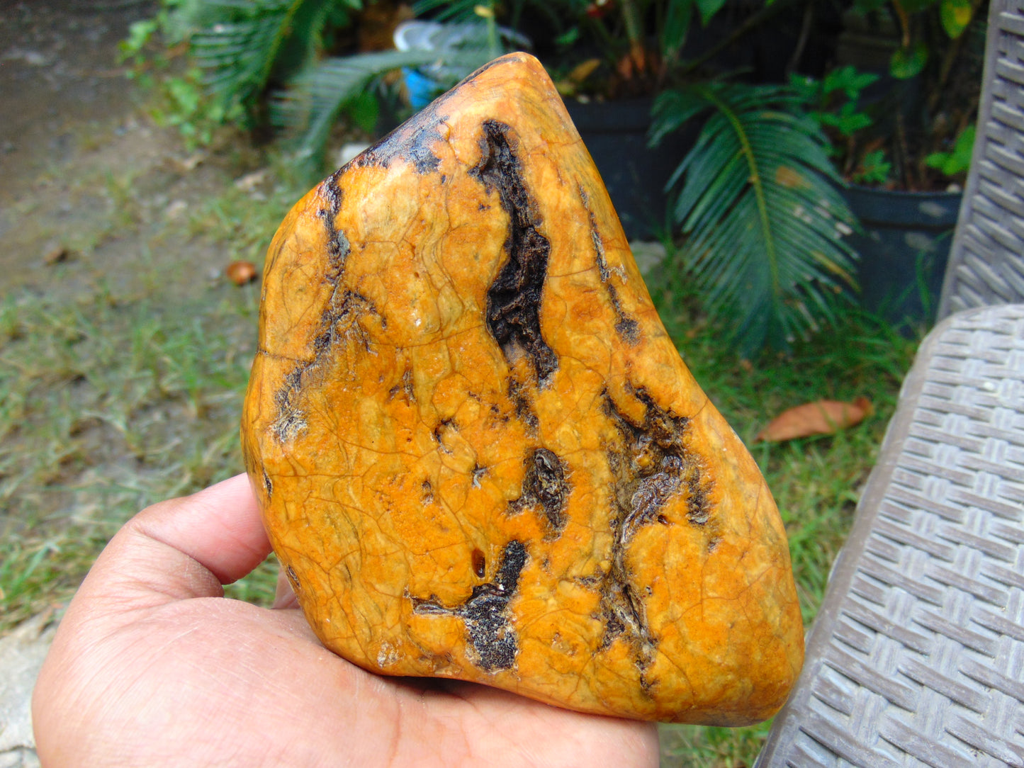 279 gram Polished 125x85x55mm Indonesia Yellow Fragrance Amber for Healing 25K35