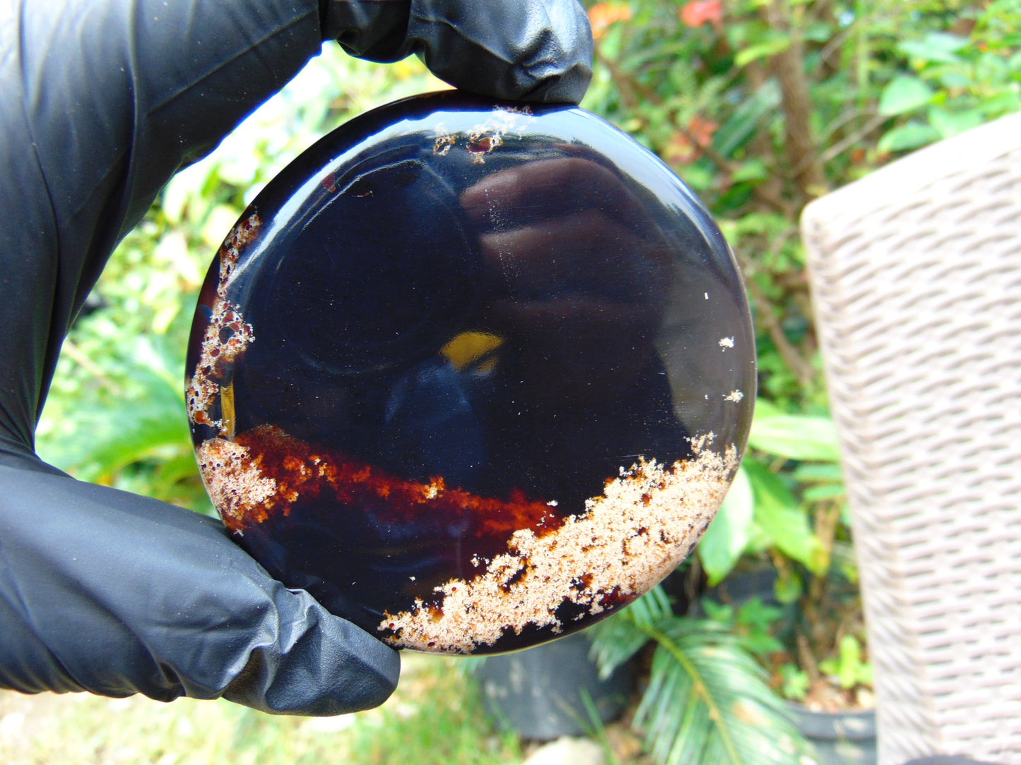 71 gram Round Flat 81x14mm Indonesia Amber for Healing 25A361