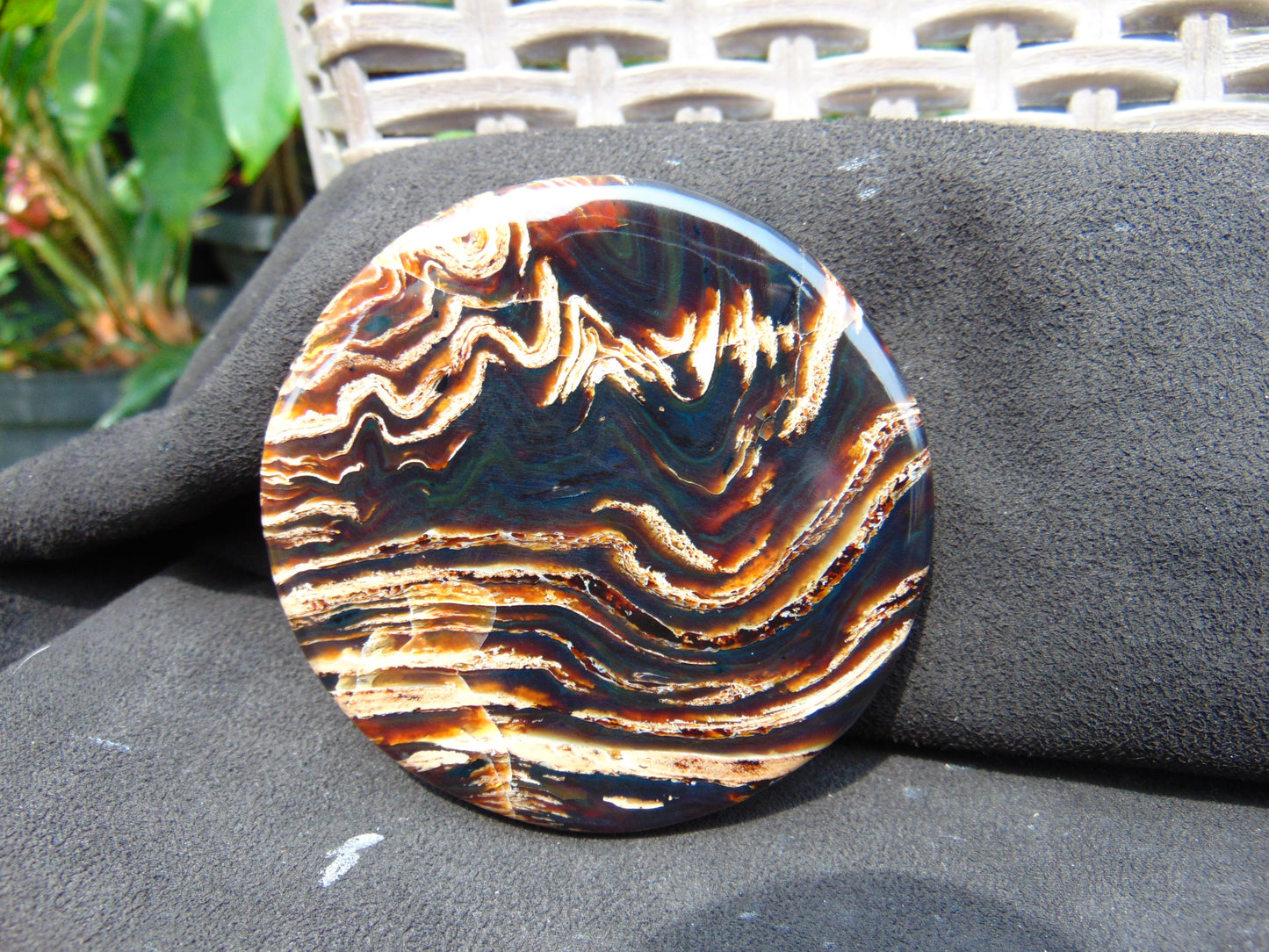 71 gram Round Flat 81x14mm Indonesia Amber for Healing 25Y254