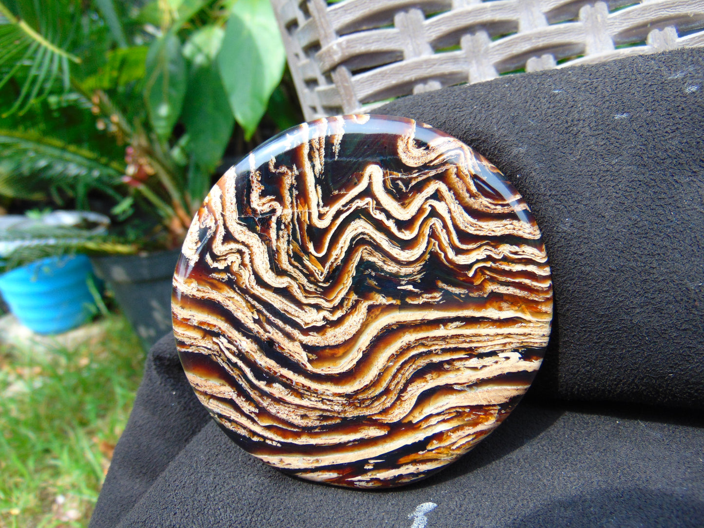 71 gram Round Flat 81x14mm Indonesia Amber for Healing 25Y254