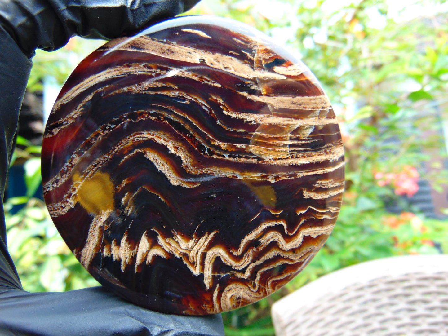 71 gram Round Flat 81x14mm Indonesia Amber for Healing 25Y254