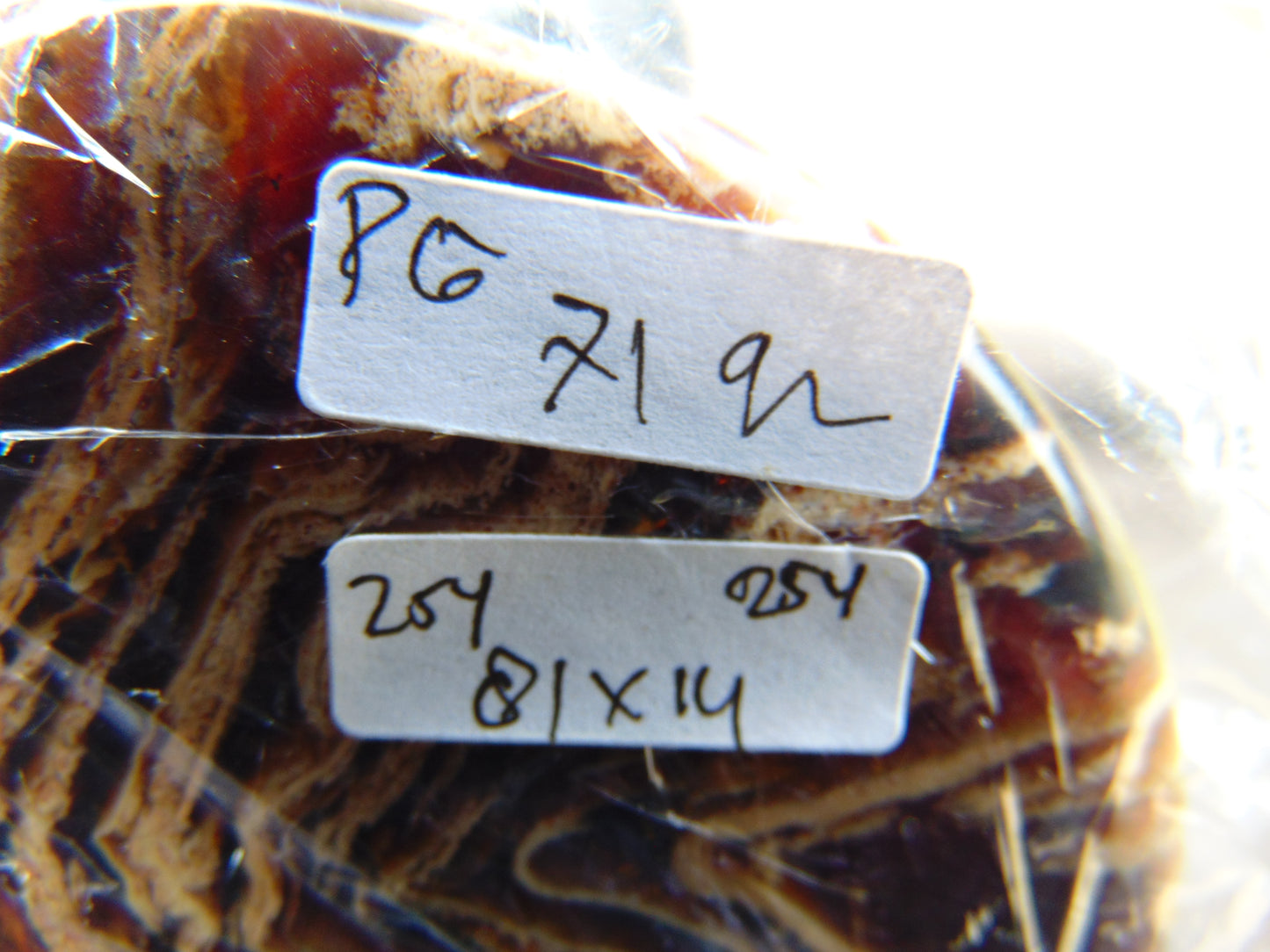 71 gram Round Flat 81x14mm Indonesia Amber for Healing 25Y254