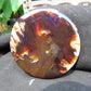 67 gram Round Flat 80x14mm Indonesia Amber for Healing 25N281