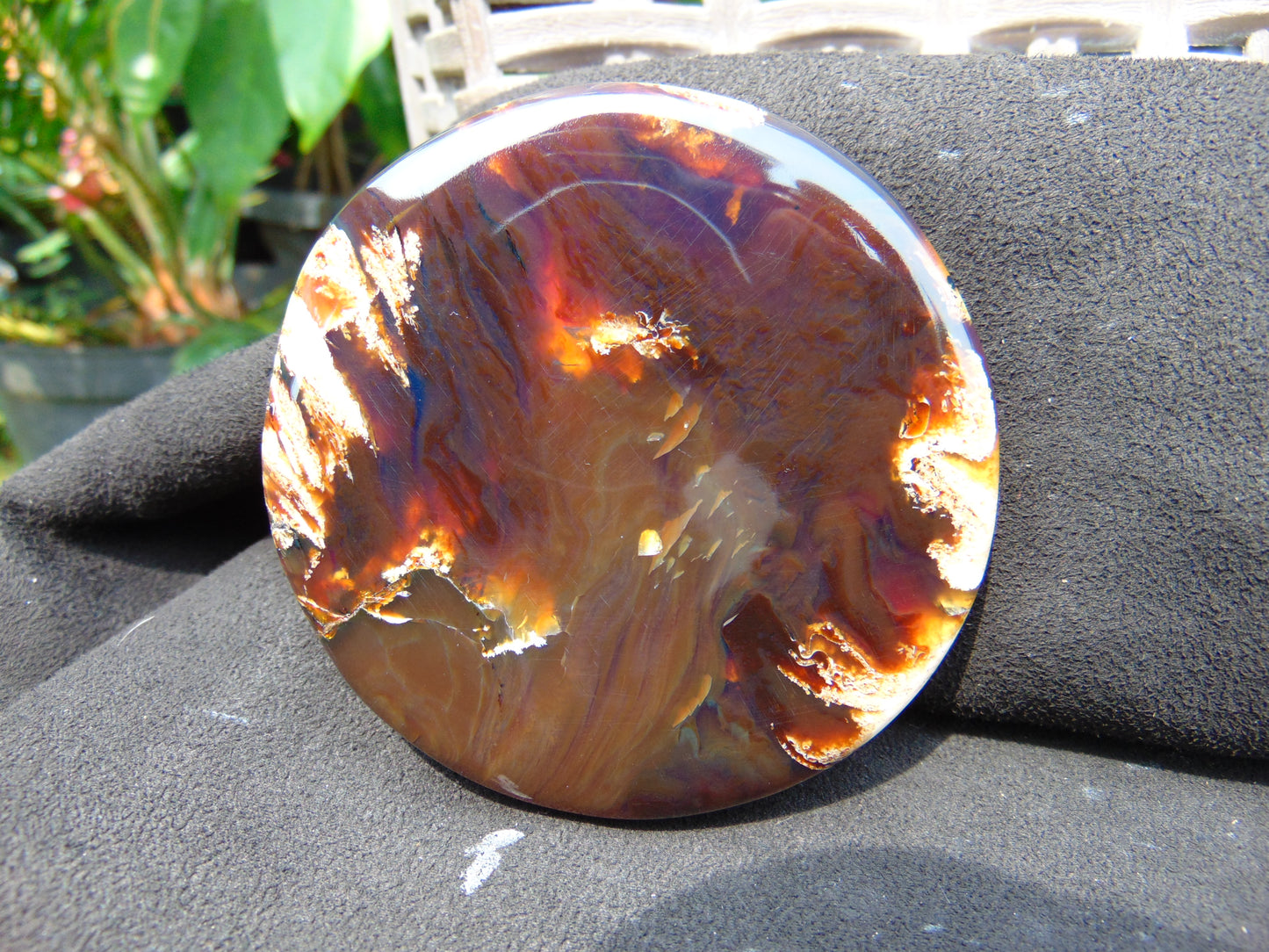 67 gram Round Flat 80x14mm Indonesia Amber for Healing 25N281