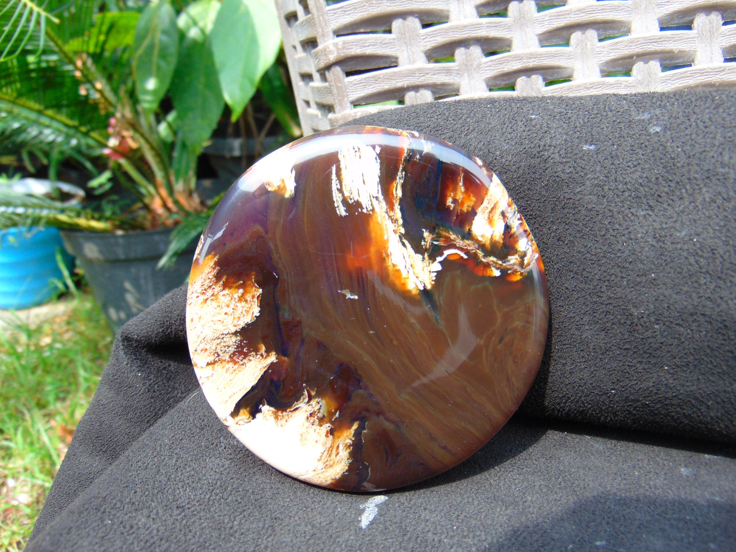 67 gram Round Flat 80x14mm Indonesia Amber for Healing 25N281