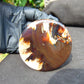 67 gram Round Flat 80x14mm Indonesia Amber for Healing 25N281