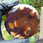 67 gram Round Flat 80x14mm Indonesia Amber for Healing 25N281