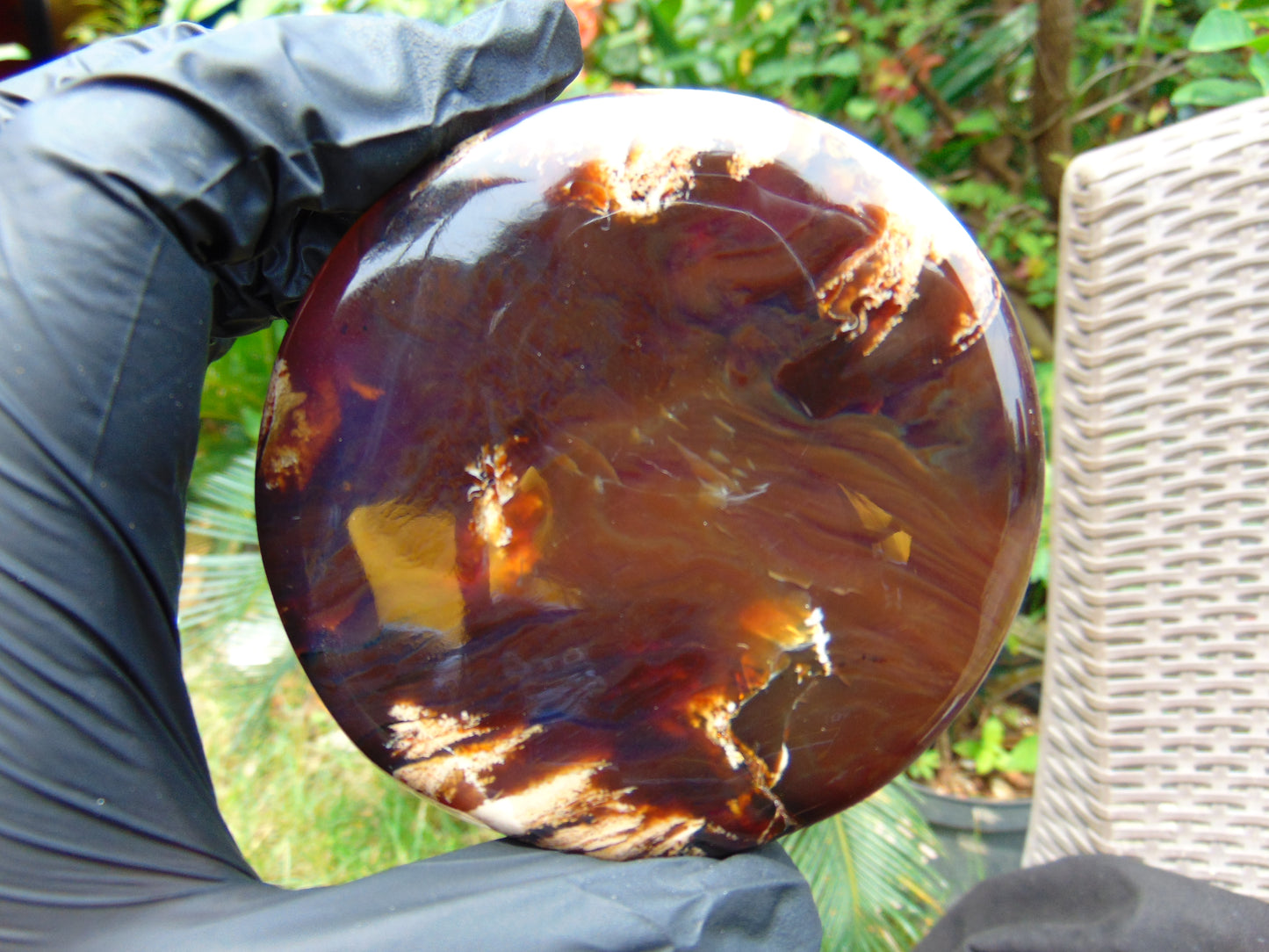 67 gram Round Flat 80x14mm Indonesia Amber for Healing 25N281