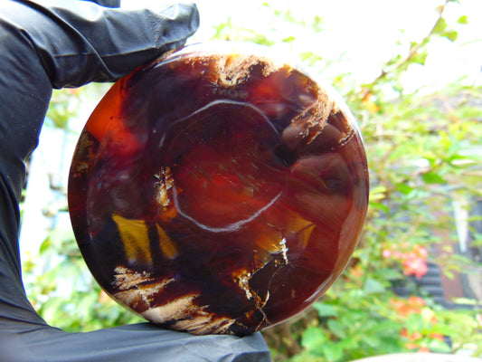 67 gram Round Flat 80x14mm Indonesia Amber for Healing 25N281