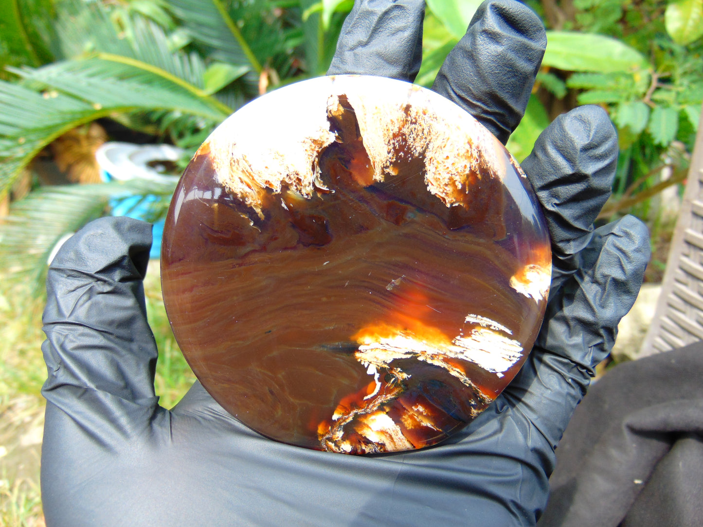 67 gram Round Flat 80x14mm Indonesia Amber for Healing 25N281