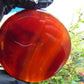 77 gram Round Flat 80x16mm Indonesia Amber for Healing 25N279