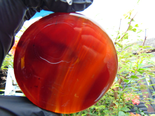 77 gram Round Flat 80x16mm Indonesia Amber for Healing 25N279