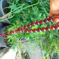 49 gr hand Tasbih 17 Beads 18 mm Indonesian Red Blue Amber for Healing TR10