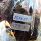 129 gram Rough Raw Indonesian Blue Amber for Healing AGRB25