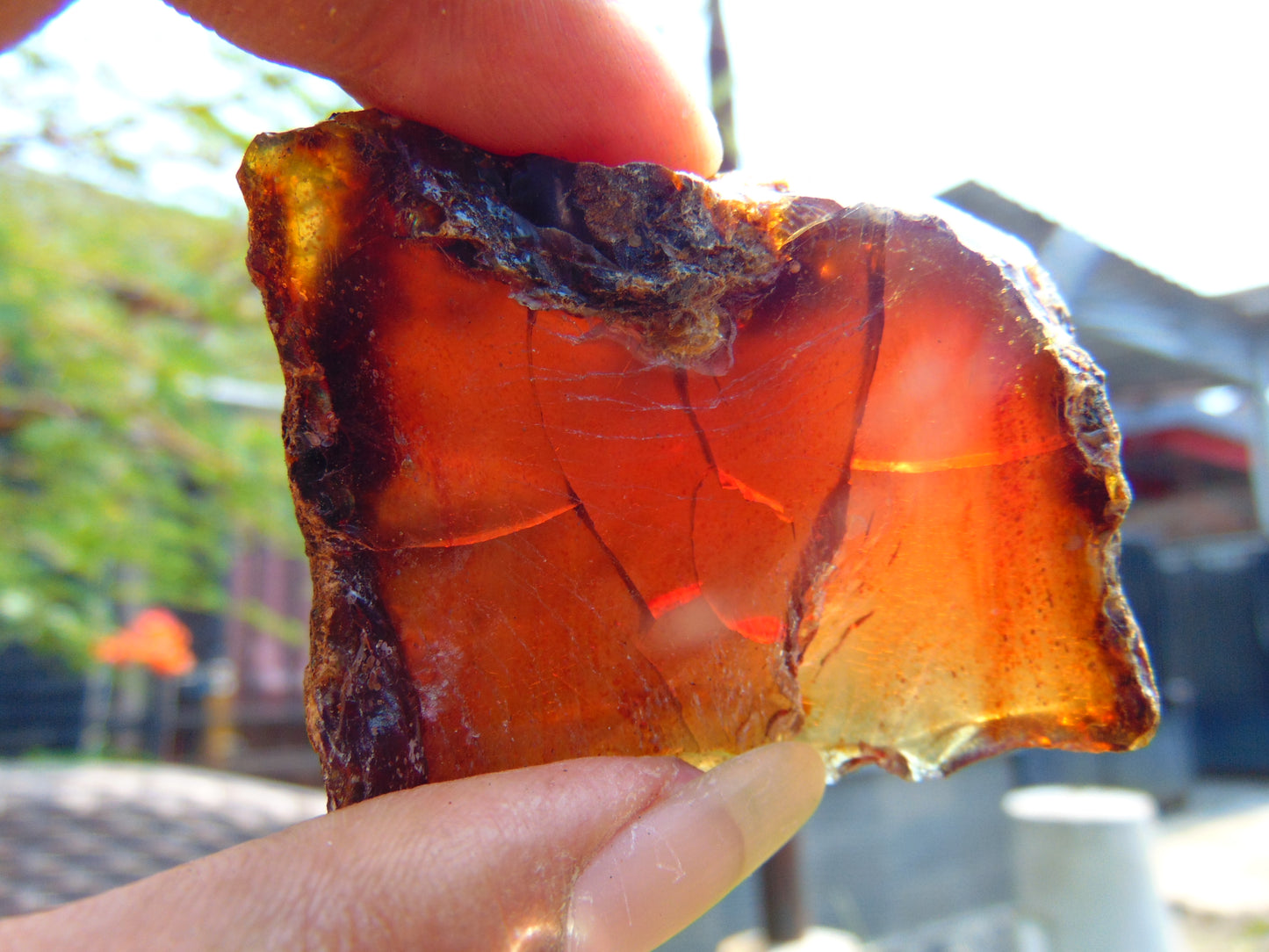 31 gram Rough Raw Indonesian Purple Blue Amber for Healing AGRB23