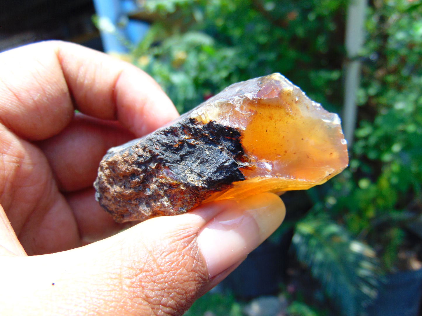 24 gram Rough Raw Indonesian Blue Amber for Healing AGRB45