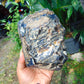 933 gram Rough Raw Indonesian Blue Amber for Healing RBM79