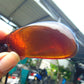 16 gram Pendant Indonesian Red Green Amber for Healing AJ6