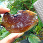 36 gram Rough Raw Indonesian Blue Amber for Healing AGRB140