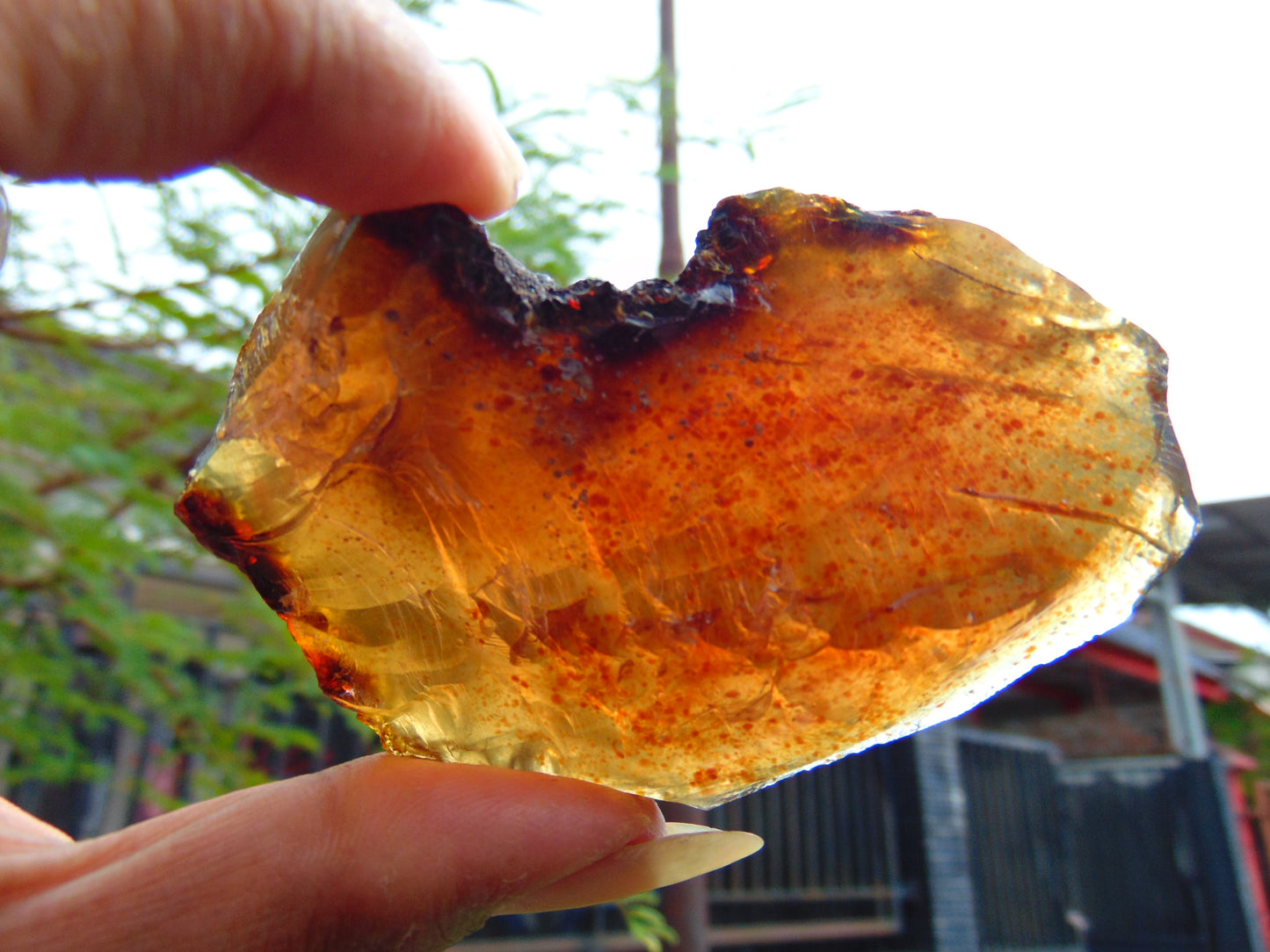 36 gram Rough Raw Indonesian Blue Amber for Healing AGRB140