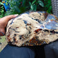8180 gram Big Full Polished 27x23x17 cm Indonesia Green Amber for Healing ML57
