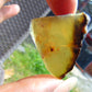 7 gram Rough Raw Indonesian Blue Amber for Healing AGRB160