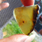 7 gram Rough Raw Indonesian Blue Amber for Healing AGRB160
