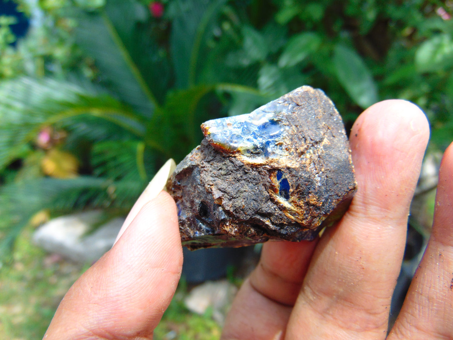 17 gram Rough Raw Indonesian Blue Amber for Healing AGRB117