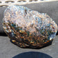 84 gr Sea Turtles Carving 85x67x36 mm Indonesian Blue Amber for Healing AJ200
