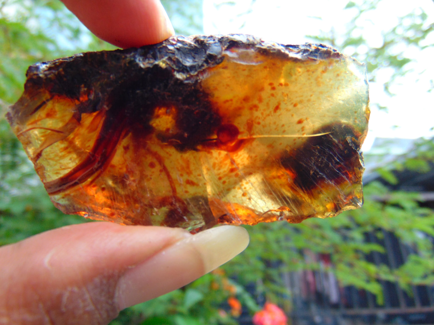 21 gram Rough Raw Indonesian Blue Amber for Healing AGRB126