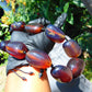 145 gr 13 beads Big Necklace Indonesian blue Amber for Healing FRN13