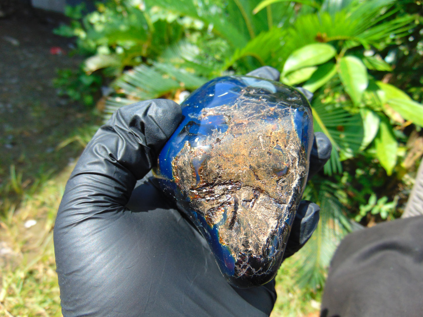 175 gram Blue polished Indonesian Amber for Healing ML105