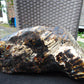 8300 gram Big Full Polished Indonesia Zebra White Amber for Healing ML38