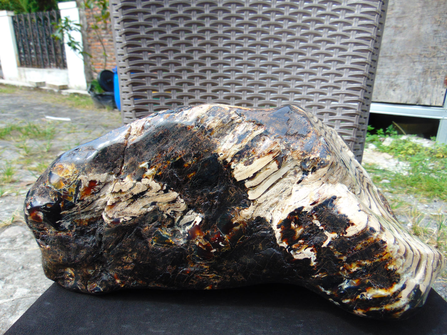8300 gram Big Full Polished Indonesia Zebra White Amber for Healing ML38