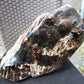 8300 gram Big Full Polished Indonesia Zebra White Amber for Healing ML38