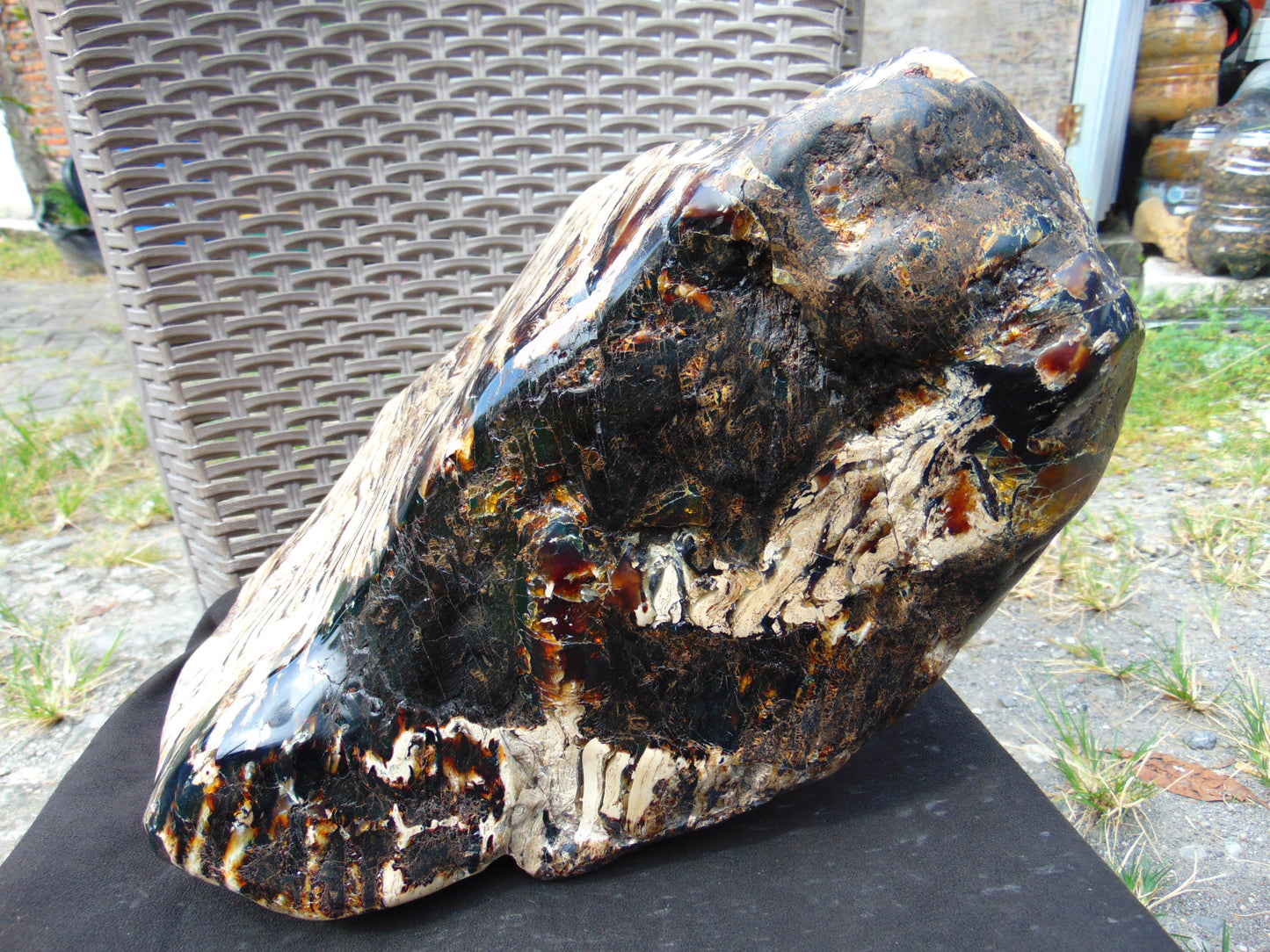 8300 gram Big Full Polished Indonesia Zebra White Amber for Healing ML38