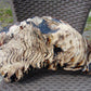 8300 gram Big Full Polished Indonesia Zebra White Amber for Healing ML38