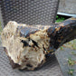 8300 gram Big Full Polished Indonesia Zebra White Amber for Healing ML38