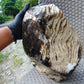 8300 gram Big Full Polished Indonesia Zebra White Amber for Healing ML38