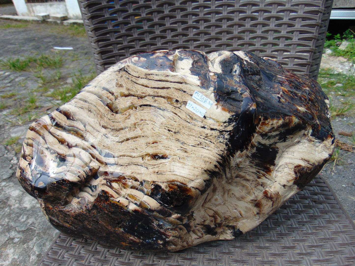 8300 gram Big Full Polished Indonesia Zebra White Amber for Healing ML38