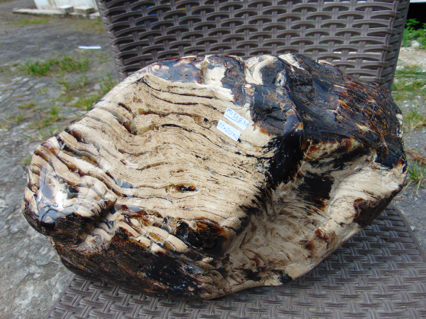 8300 gram Big Full Polished Indonesia Zebra White Amber for Healing ML38