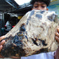 8300 gram Big Full Polished Indonesia Zebra White Amber for Healing ML38