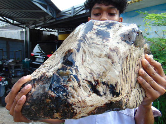 8300 gram Big Full Polished Indonesia Zebra White Amber for Healing ML38